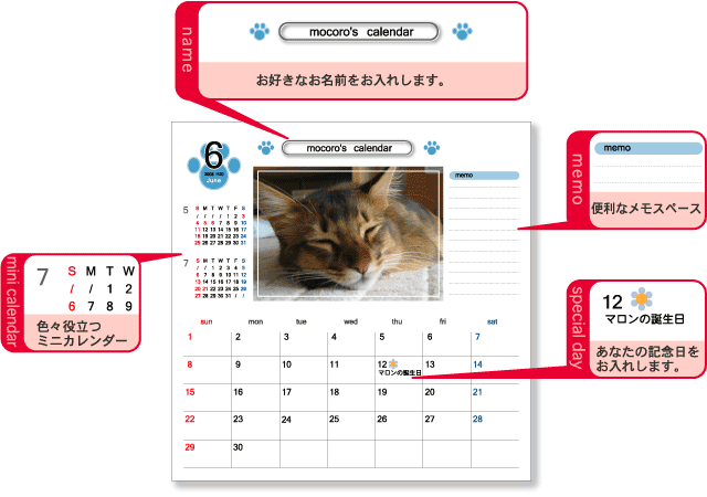 オリジナルカレンダーペットN